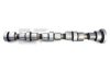 IVECO 504345136 Camshaft